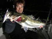 シーマジカル 釣果