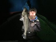 シーマジカル 釣果