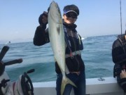 シーマジカル 釣果