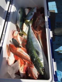 征海丸 釣果