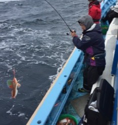 征海丸 釣果