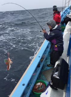 征海丸 釣果