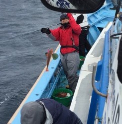 征海丸 釣果