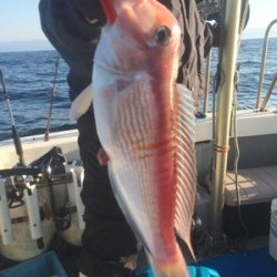 Blue.win 海人丸 釣果