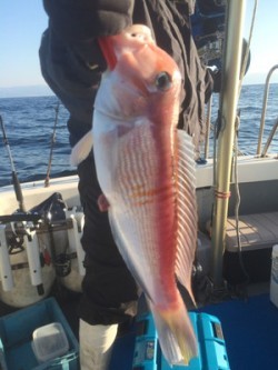 Blue.win 海人丸 釣果