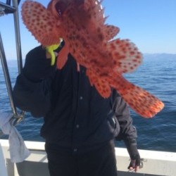 Blue.win 海人丸 釣果