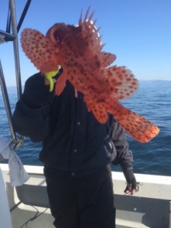 Blue.win 海人丸 釣果