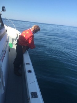 Blue.win 海人丸 釣果