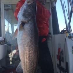 Blue.win 海人丸 釣果