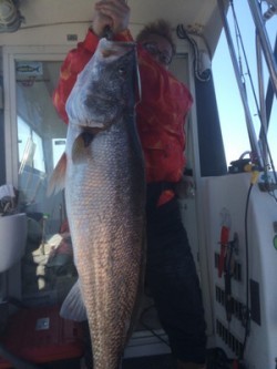 Blue.win 海人丸 釣果