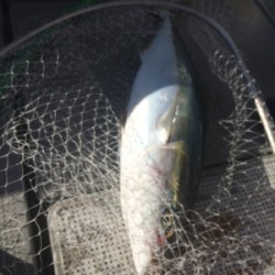 Blue.win 海人丸 釣果