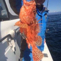 Blue.win 海人丸 釣果