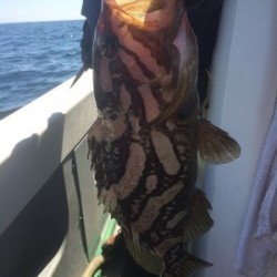 Blue.win 海人丸 釣果