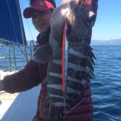 Blue.win 海人丸 釣果