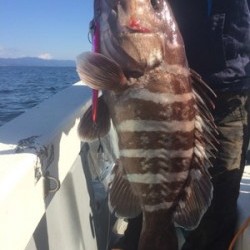 Blue.win 海人丸 釣果