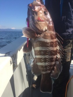 Blue.win 海人丸 釣果