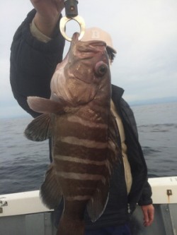 Blue.win 海人丸 釣果