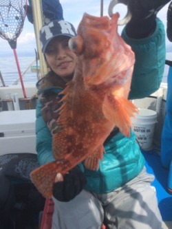 Blue.win 海人丸 釣果