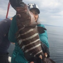 Blue.win 海人丸 釣果