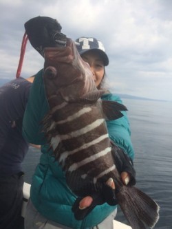 Blue.win 海人丸 釣果