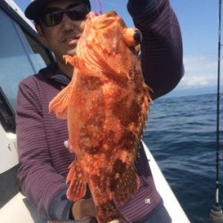 Blue.win 海人丸 釣果