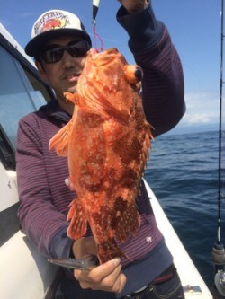 Blue.win 海人丸 釣果