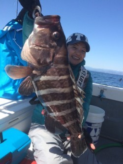 Blue.win 海人丸 釣果