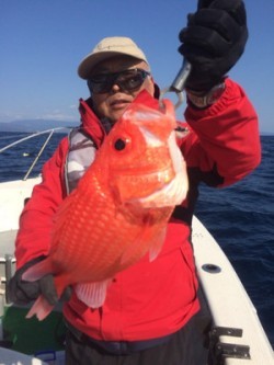 Blue.win 海人丸 釣果