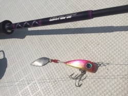 「LaGooN」蒼陽丸 日和号　 釣果