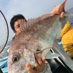 みやけ丸 釣果