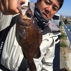みやけ丸 釣果