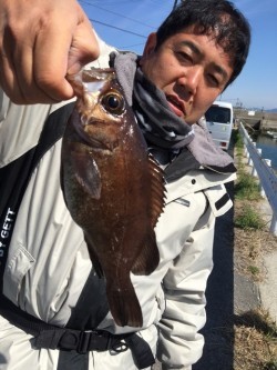みやけ丸 釣果