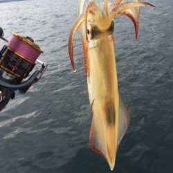 「LaGooN」蒼陽丸 日和号　 釣果