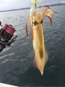 「LaGooN」蒼陽丸 日和号　 釣果