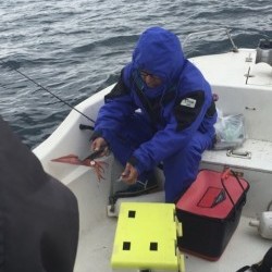 「LaGooN」蒼陽丸 日和号　 釣果