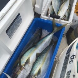 「LaGooN」蒼陽丸 日和号 釣果