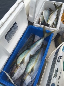 「LaGooN」蒼陽丸 日和号 釣果