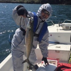 「LaGooN」蒼陽丸 日和号　 釣果