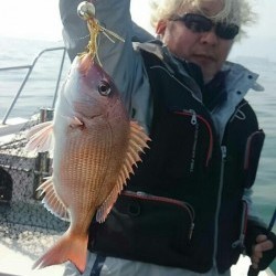 エムズジャーク（M’s JERK） 釣果