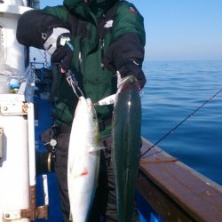 海龍丸 釣果