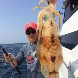 South Current 釣果