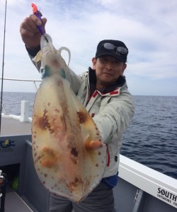 South Current 釣果