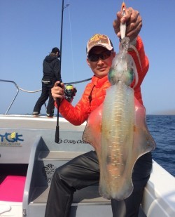 South Current 釣果