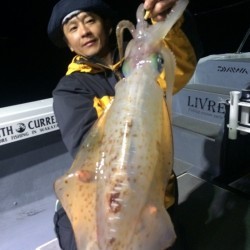 South Current 釣果