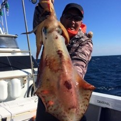 South Current 釣果