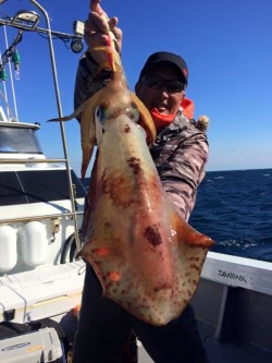 South Current 釣果