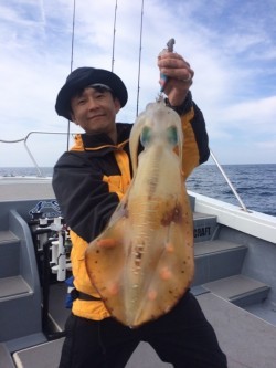 South Current 釣果