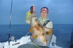 South Current 釣果