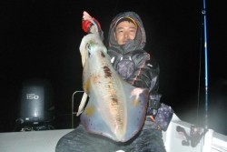 South Current 釣果