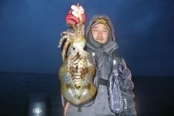 South Current 釣果